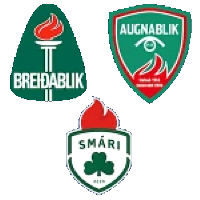 Breio/Augn/ Smári Sub 19 II