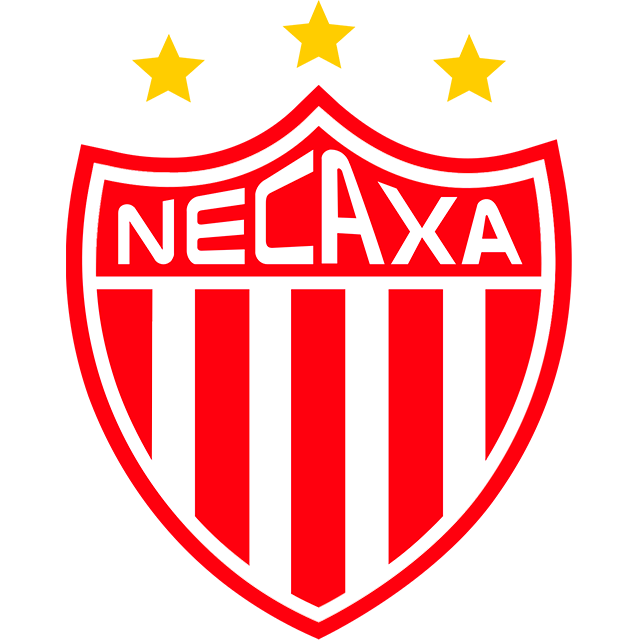 Toluca Sub 14