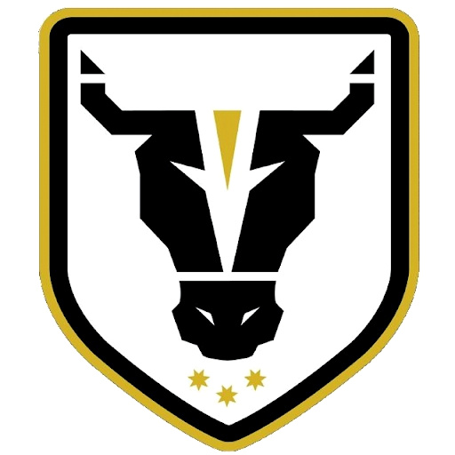 Bulls Academy