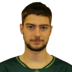 G. Strasiotto