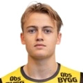 Oskar Fallenius