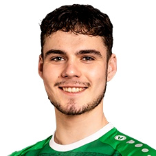 Giocatore R. Reingolcs