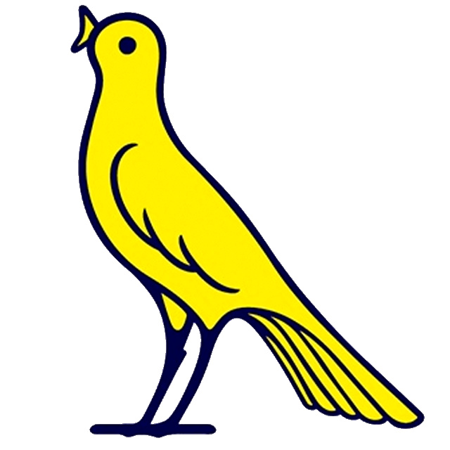 Modena Sub 19
