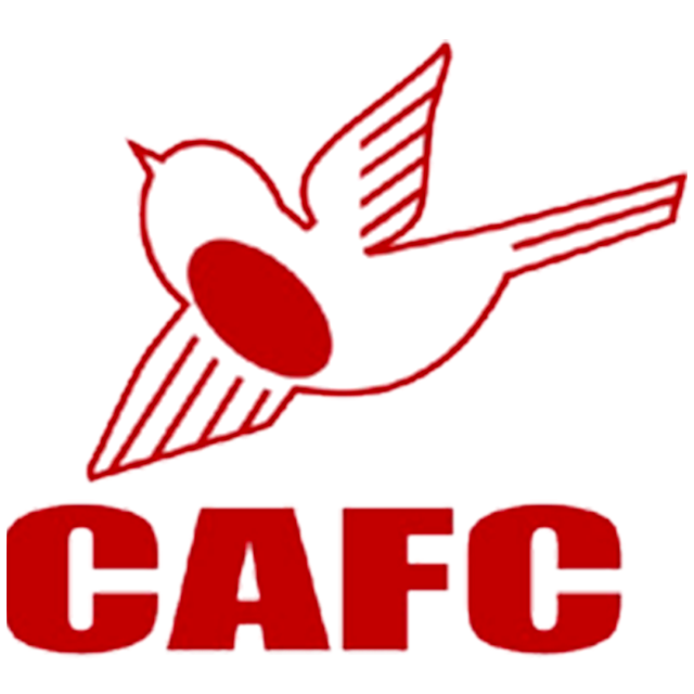 Squadra Carshalton Athletic