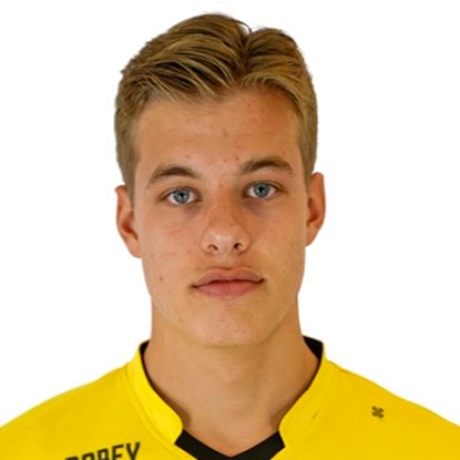 Giocatore J. Van Der Wilt