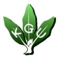 Kanto Gakuin University