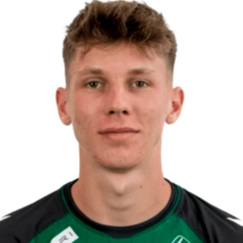 Giocatore David Ungar