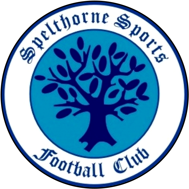 Squadra Spelthorne Sports