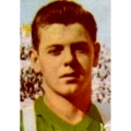 Giocatore Yanko
