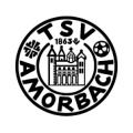 TSV Amorbach Academy