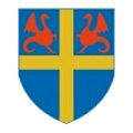 Rovigo Calcio