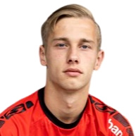 D. Van Diepen