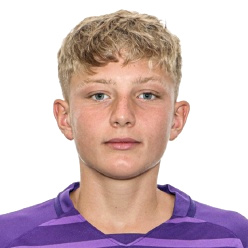 Giocatore Filip Lukic