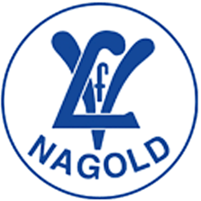 Squadra VFL Nagold
