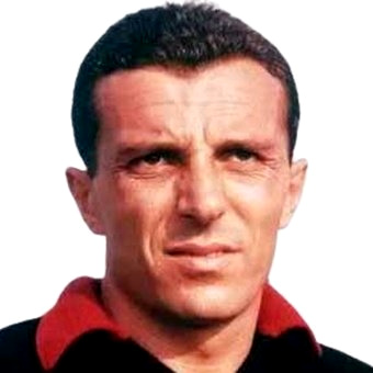 Giocatore Stefano Nyers