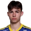 M. Gaevoy