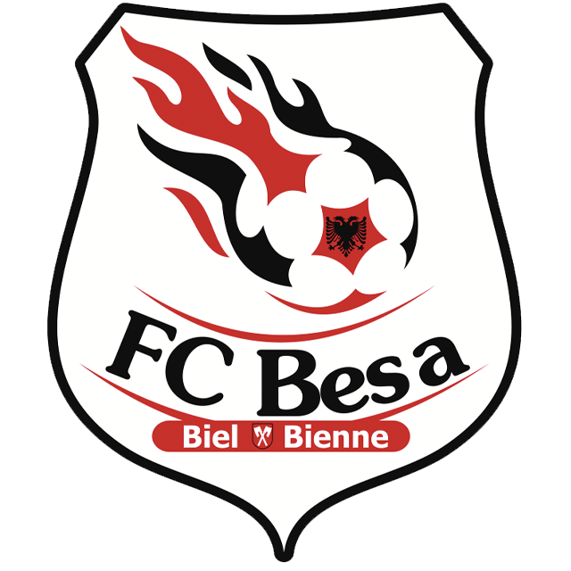 Squadra Fc Besa Biel