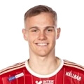 Giocatore G. Friberg