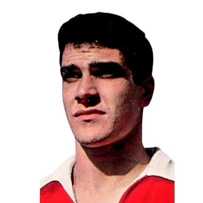 Raúl Machado