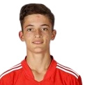 Giocatore André Gomes