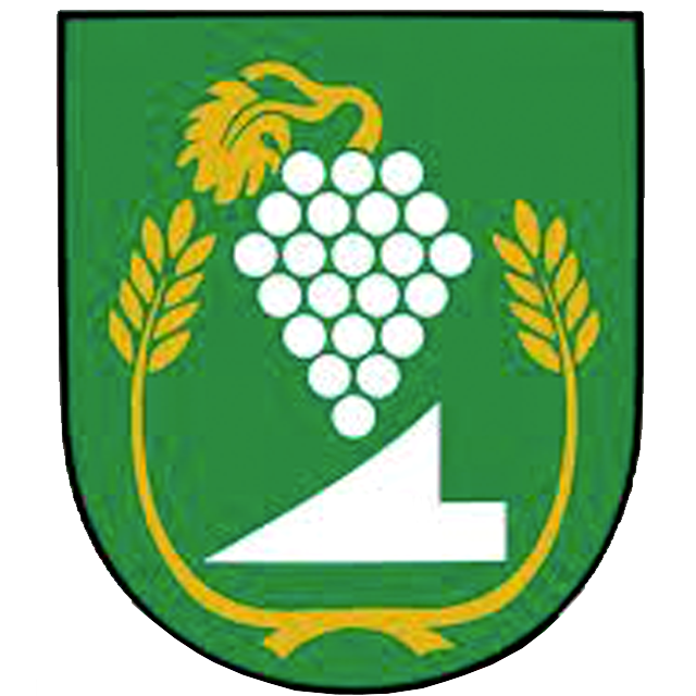 Squadra Vinica