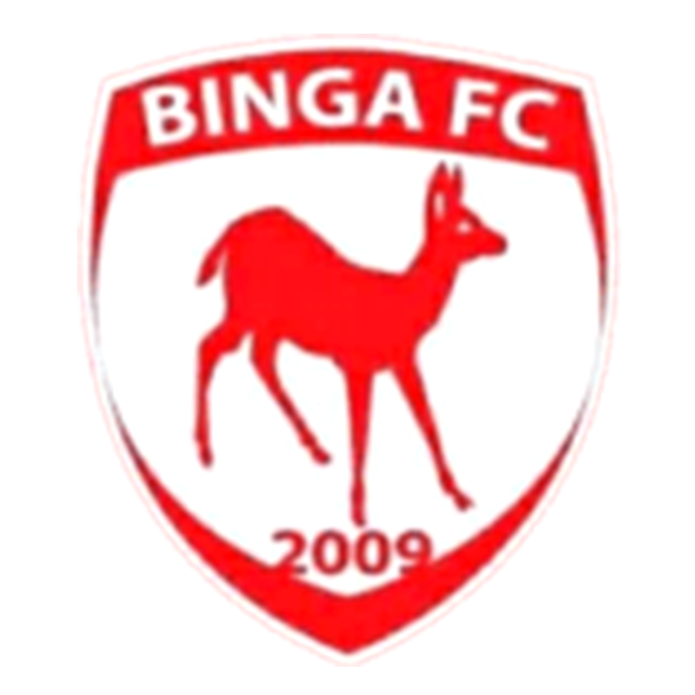 Squadra Binga