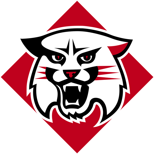 Dayton Flyers