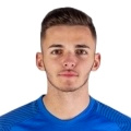 Giocatore Denis Alijagić
