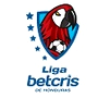 Liga Honduras - Relegation Playoffs