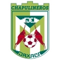 Chapulineros de Oaxaca