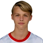 Giocatore R. Feldinger