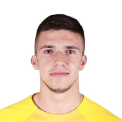 Almin Kahrimanovic