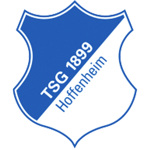 Squadra Hoffenheim Sub 17