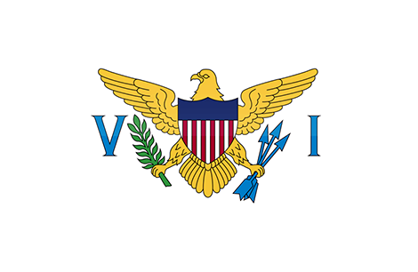 vi