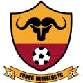 Young Buffaloes