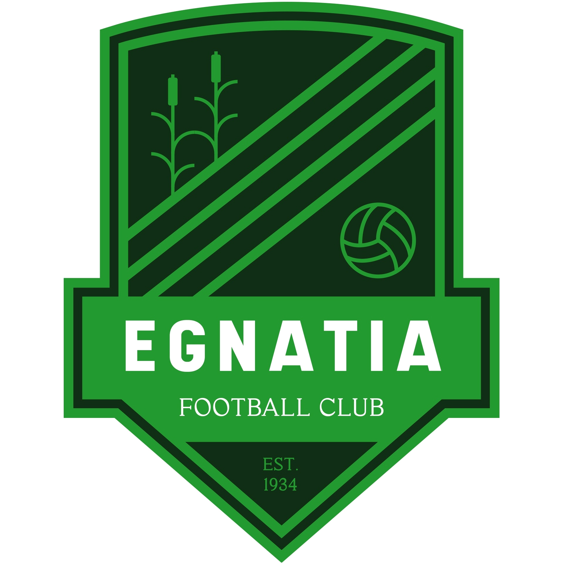 Squadra KF Egnatia