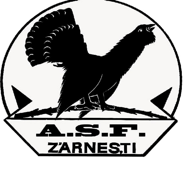 Zărneşti