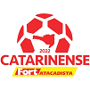 Qatarinense 1
