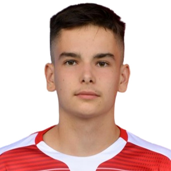 Giocatore Aleksandar Radic