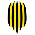 Rukh Lviv Sub 19