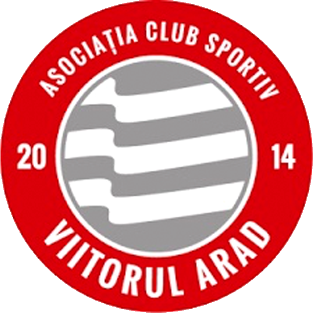 Squadra Viitorul Arad