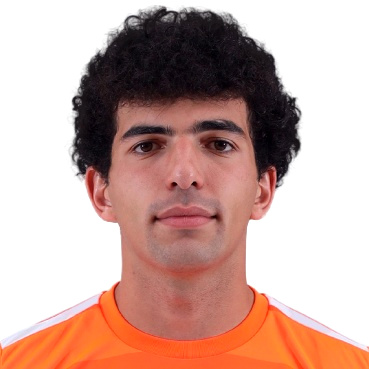 Giocatore N. Grigoryan